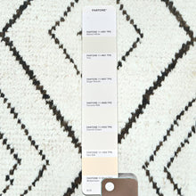 Load image into Gallery viewer, Hand-Knotted Berber African Design Handmade Wool Rug (Size 9.0 X 12.6) Cwral-11271