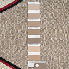 Load image into Gallery viewer, Hand-Woven Southwestern Design Flat Weave Handmade Kilim Rug (Size 9.3 X 12.2) Cwral-11838