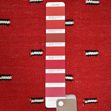 Load image into Gallery viewer, Pantone color swatch on a red fabric background