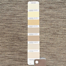 Load image into Gallery viewer, Pantone color swatch on a textured brown fabric background