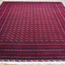 Load image into Gallery viewer, Fine Hand-Knotted Turkmen Tribal Traditional Wool Rug (Size 6.7 X 9.8) Cwral-9618