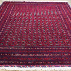 Fine Hand-Knotted Turkmen Tribal Traditional Wool Rug (Size 6.7 X 9.8) Cwral-9618